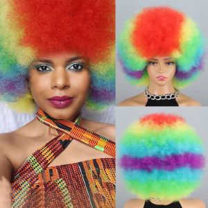 Wigs Rainbow Afro -pruik, kleurrijke grappige clown krullende afro pruiken voor kinderen volwassen vrouwen mannen, krullende gekke afro pruik 70's voor kinderen volwassen mannen