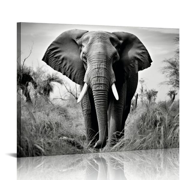 Art mural de toile d'éléphant sauvage: animaux africains photo safari paysage peinture d'œuvres d'art modernes imprimé en noir et blanc pour salon salle de bain prête à accrocher