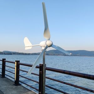 Windturbine generator 2000W 48V 24V 12V Windmolen Horizontale windgeneratorkit Gratis energie Altern MPPT -controller voor thuisgebruik