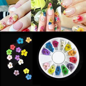 Vensterstickers 36 %/wiel 3D Gedroogde bloem nail art decoratie bloesem daisy bloemenblad schuifregelaar Poolse sticker zomer manicure tools