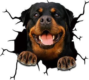 Pegatinas de ventana Rottweiler cuerpo/coche reflectante e impermeable película de PVC Premium decoración del hogar pared