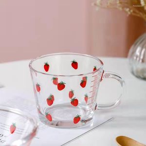 Wijnglazen 400 ml schattig fruit bedrukt glas beker