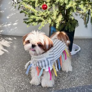 Winterontwerp kleurrijke randvulling gebreide trui hoge nek warme hond cape puppy maltese schnauzer honden trui kleine hondenkleding 240511