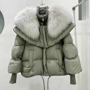 Winterontwerper Down Coat bont kraag zwarte jassen vrouw kort broodparka jas 231031