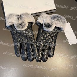 Winter Designer Handschoenen Dames Leren Handschoenen Mode Luxe Wanten Touchscreen Handschoen Kasjmier Binnenkant Warme Wanten