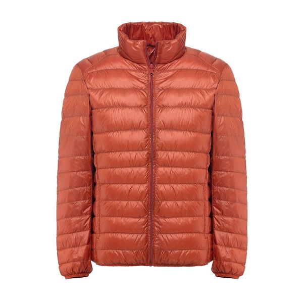 Piumino invernale da uomo nuovo stile colletto alla coreana sottile corto versione coreana all'ingrosso sottile piumino d'anatra bianco cappotti caldi Taglia grande M-6XL