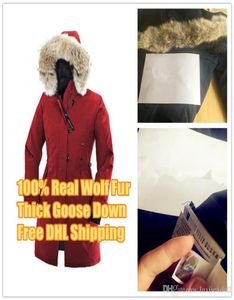 Winter Down Parkas Hoody Canada Kensington Wolf Fur Womens Jackets Zippers Designer Jacket Warm Coat Outdoor Parka1831044