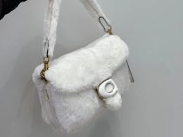 Winter Fluffy Designer Handtas Tabby Bags Luxe Baguette Leer Kwaliteit Schoudertas Dames Man Handtas Tote Chain Cross Body Envelop Pochette Clutch Bag
