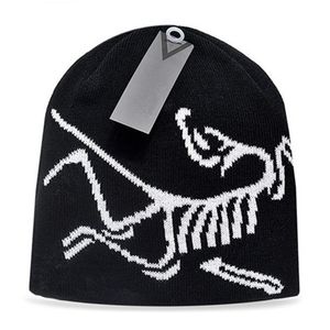 Bonnet tricoté d'hiver, casquette de styliste, chapeaux d'automne pour hommes, crâne d'extérieur, bonnets pour femmes, chapeau tricoté P-3