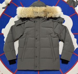 Winter heren donsjassen Wyndham zwart label capuchon bontkraag jas dons dikke warme parka's rode winteroutlet buitensportparka's