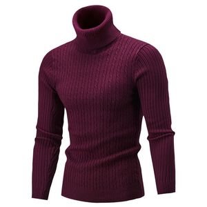 Winter Warm Trui Mannen Casual Turtleneck Mens Sweaters Slim Fit Pullover Mannen Klassieke Wol Knitwear Mode