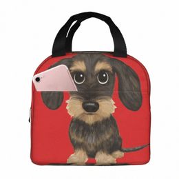 Teckel à poils durs mignon Wiener chien sanglier sacs à lunch Bento Box déjeuner fourre-tout sacs étanches refroidisseur sac thermique 71Ry #