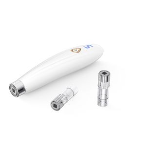 Stylo Hydra sans fil Derma Microneedle Pen H2 Microneedling professionnel avec 5 vitesses pour l'apport nutritionnel, l'amincissement des pores, le soulagement des douleurs foncées