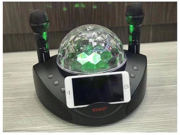 Changeur de voix sans fil Microphone haut-parleur extérieur Portable hibou téléphone Mobile Bluetooth karaoké famille KTV SDRD308