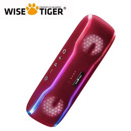 WISE TIGER Bluetooth Ser Outdoor IPX7 waterdicht Draadloos met kleurrijke zwaailichten 25W Super Bass 24H 240126