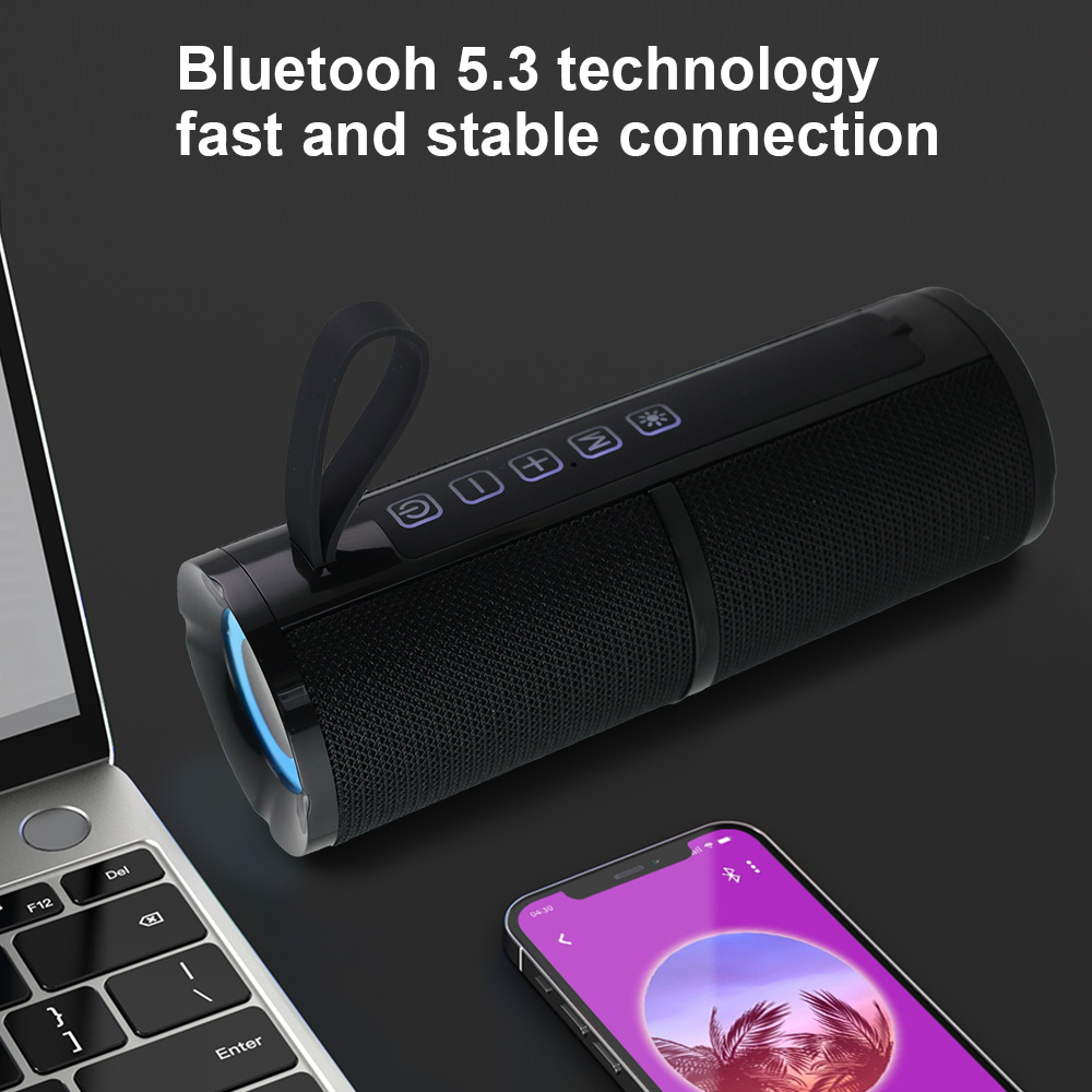 WISE TIGER FM Radio Speaker Bluetooth Speaker BT5.3 Portable Bluetooth Speaker with RGB Light USB TF Card Slot 10W TWS Dual Pair