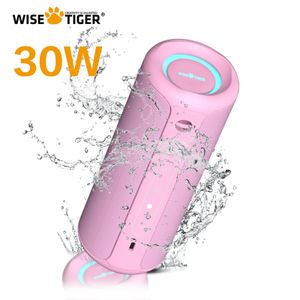 WISETIGER P3 rose haut-parleur Bluetooth Portable IPX7 étanche 30W caisson de basses avec Microphone pour la maison en plein air et les voyages 231228
