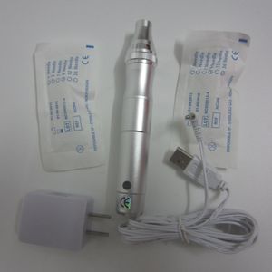 Met 2 stks naaldcartridges (12pins), schroefpoort auto elektrische derma stempel pen voor anti-aging huid opheffen gezichtsverzorgingsapparaat