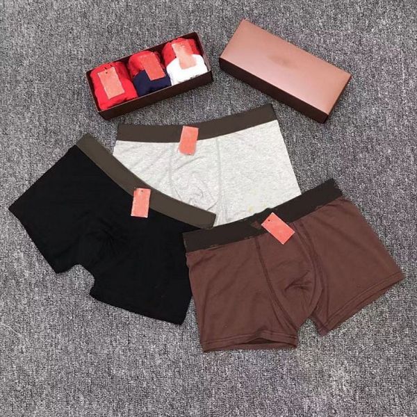 Avec Box Hommes Sous-vêtements hommes portant des culottes mode causal coton lettre de tous les jours vêtements imprimés designer caleçons boxeur respirant