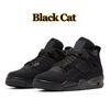 4s chat noir