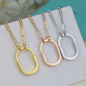 Femme Designers de mode Cadeau de Noël 2023 Nouveau collier sans diamant co-marqué 18K Senior exquis Personnalité colorée bijoux Style classique Yafei