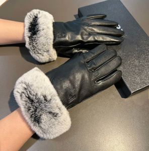 Femmes Designer Mitaine en peau de mouton PRADITY aime l'hiver luxe en cuir véritable mitaines marques violet doigts gant chaud cachemire à l'intérieur de l'écran tactile