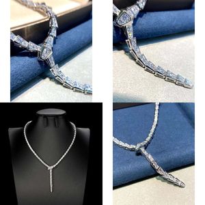 Femmes pour le haut designer Collier Diamond Collier Chaîne de serpent Feske en forme de bijoux de danse haut de gamme ACCESSOIRES DE JIANIRS DE DANSE