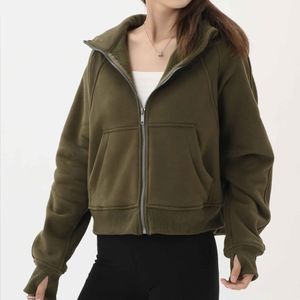 Femmes Vestes Manteaux Vêtements Survêtement Plongée Automne / Hiver Sweat À Capuche Lâche Couleur Unie Casual Sweat À Capuche Sport Top Joggers Filles Courir En Gros