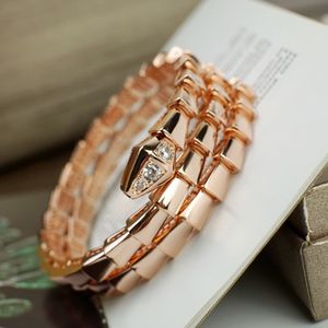 Vrouwen sieraden armband dubbele lus slangvormige ontwerper prachtige en delicate lijnontwerp koper ingelegde water diamanten damesarmband