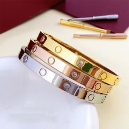 Vrouwen mannen houden van armband titanium staal 5e breedte 6 mm zilveren roségouden schroevendraaier armband met diamanten paar sieraden maat 15-22 cm