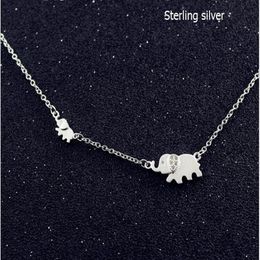 Colliers avec pendentif en argent massif 925 pour femmes, incrustation de Zircon, mascotte, grand et petit collier d'éléphant, chaîne en os, ras de cou, 1 pc243O