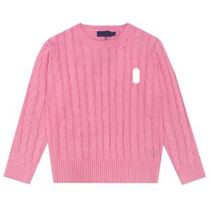 Femmes col rond pull concepteur de luxe Ralphs Polos manteau classique hommes petit cheval brodé gros tricot torsadé mode