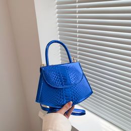 Женская сумка, модная минималистичная сумка для отдыха, сумка-мессенджер, трендовая седельная сумка, оптовая продажа с фабрики, новый стиль 2024, CCJ3260