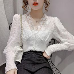 Blouses femme chemises COIGARSAM Blouse femmes automne 2023 manches longues dentelle solide col en v abricot blanc noir Blusas femmes hauts et