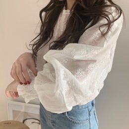 Women's Blouses shirts vrouwen blouses lente seethrough pure mesh blouse lange mouw shirt tops tee shirts witte bloust oneck tops 230309