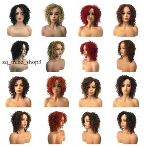 Women's Curly Wig Losse golvende pruik Natuurlijk krullende synthetische hittebestendige vlecht volledige pruik met pony 93