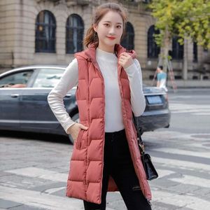 Femmes bas 2023 rembourré gilets pour femmes couleur unie décontracté fermeture éclair à capuche manteaux dames long manteau veste Chaleco Acolchado Mujer Xl-5xl