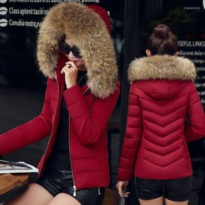 Femmes vers le bas 2023 hiver court mode grand col de fourrure couleur unie rembourré veste femmes mince coton