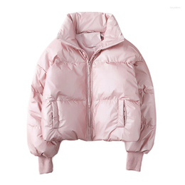 Piumino da donna in cotone da donna Inverno 2023 Versione coreana di colore puro spesso corto colletto rialzato con cerniera semplice cappotto casual M498