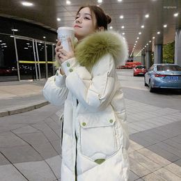 Dames down down dames winter jas jas Koreaanse stijl losse lange katoenen met katoen-gevarieerde mode grote bont kraag uit het kader van katoen met waterige vrouwen jassen
