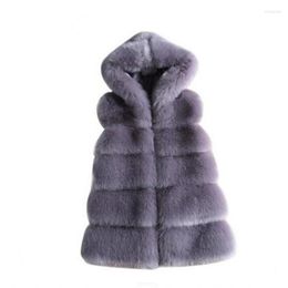 Veste en fausse fourrure pour femme, vêtement d'automne et d'hiver, manteau à capuche épais, en poils de vison, 2022