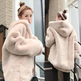 Manteau en peluche Imitation fourrure pour femme, vêtement ample, Type cocon, épais, surdimensionné, à capuche, automne et hiver, 2023