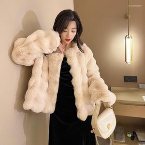 Faux manteau en fourrure pour femme, mode coréenne, hiver 2023, veste en peluche à manches longues, vison, pardessus moelleux à col rond