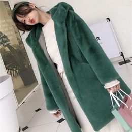 Femmes fourrure longue Faux vison manteau épaissi lâche à capuche en peluche artificielle pardessus femmes femme chaud hiver coupe-vent