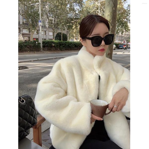 Faux manteau de fourrure épais et chaud pour femme, mode coréenne, Design, manches longues, col de tortue, manteaux de luxe pour dame, hiver