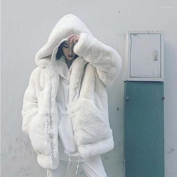 Femmes fourrure hiver veste femmes 2023 Faux vison manteau décontracté Long pardessus col rabattu chaud fermeture éclair rembourré à capuche