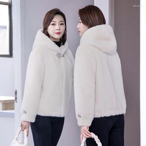 Faux manteau en fourrure pour femme, Long, décontracté, épais, chaud, pelucheux, avec capuche à boutons, mode 2023, garder en automne C5