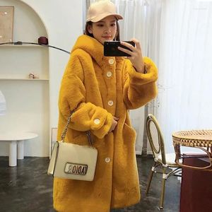 Manteaux en fourrure épais et chauds pour femmes, Faux manteaux longs à capuche, vêtements de neige amples coréens, à la mode, hiver