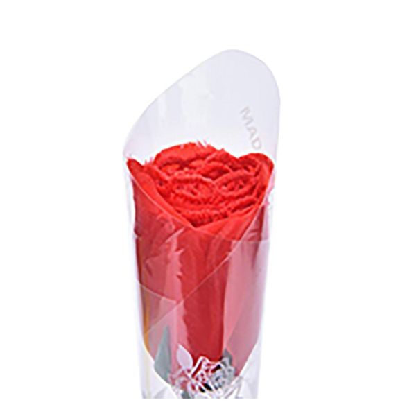 Genillas de mujeres Guestres Sexy Rose Lace G-String Resumen tangas Románticas Bastias V-String Empaque en una flor de San Valentín RED RED DHVYM