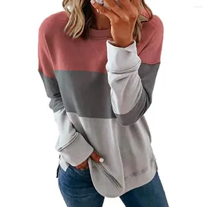 Dames Hoodies Modieus Sweatshirt Kleurenblok Opdruk Lange mouw Dagelijks Basic Ronde hals Normale pasvorm Schilderij Herfst Winter